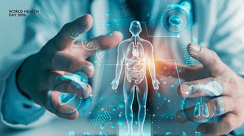 Building a Powerful Immune System Through Healthy Living